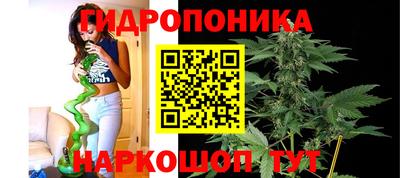 ALPHA PVP Боровичи