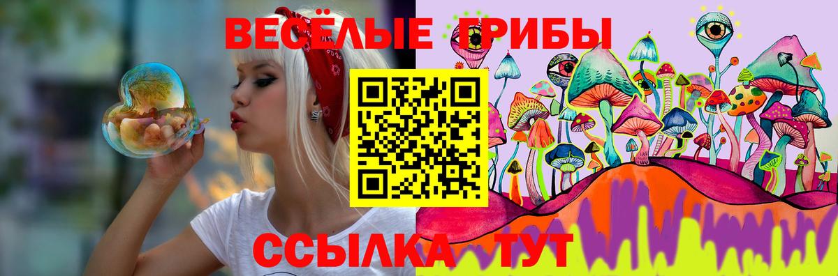 Галлюциногенные грибы GOLDEN TEACHER  Вход с VPN  даркнет сайт  Галлюциногенные грибы мицелий  Вольск 